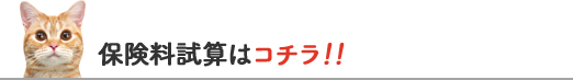 保険料試算はコチラ！！