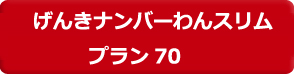 げんきナンバーわんスリム：プラン70