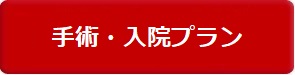 手術・入院プラン