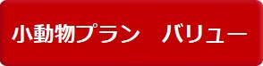 プリズムペット 小動物プラン　バリュー