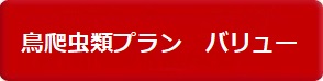 プリズムペット鳥爬虫類プラン　バリュー