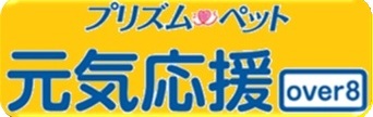 いつでもパック 元気応援over8!