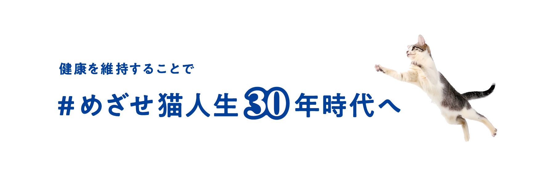 #めざせ猫人生30年時代へ