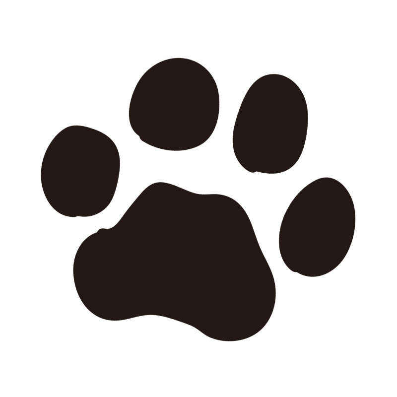 paw