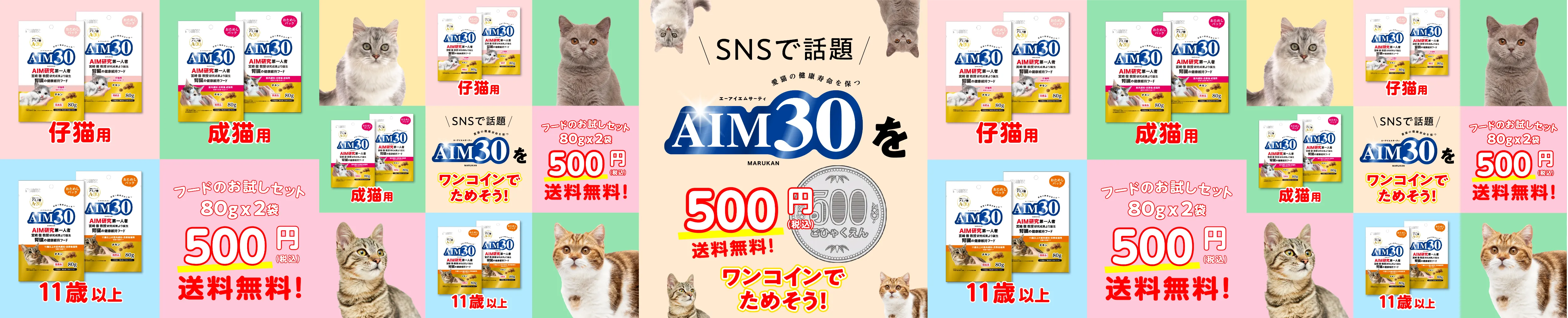 愛猫との時間をもっと