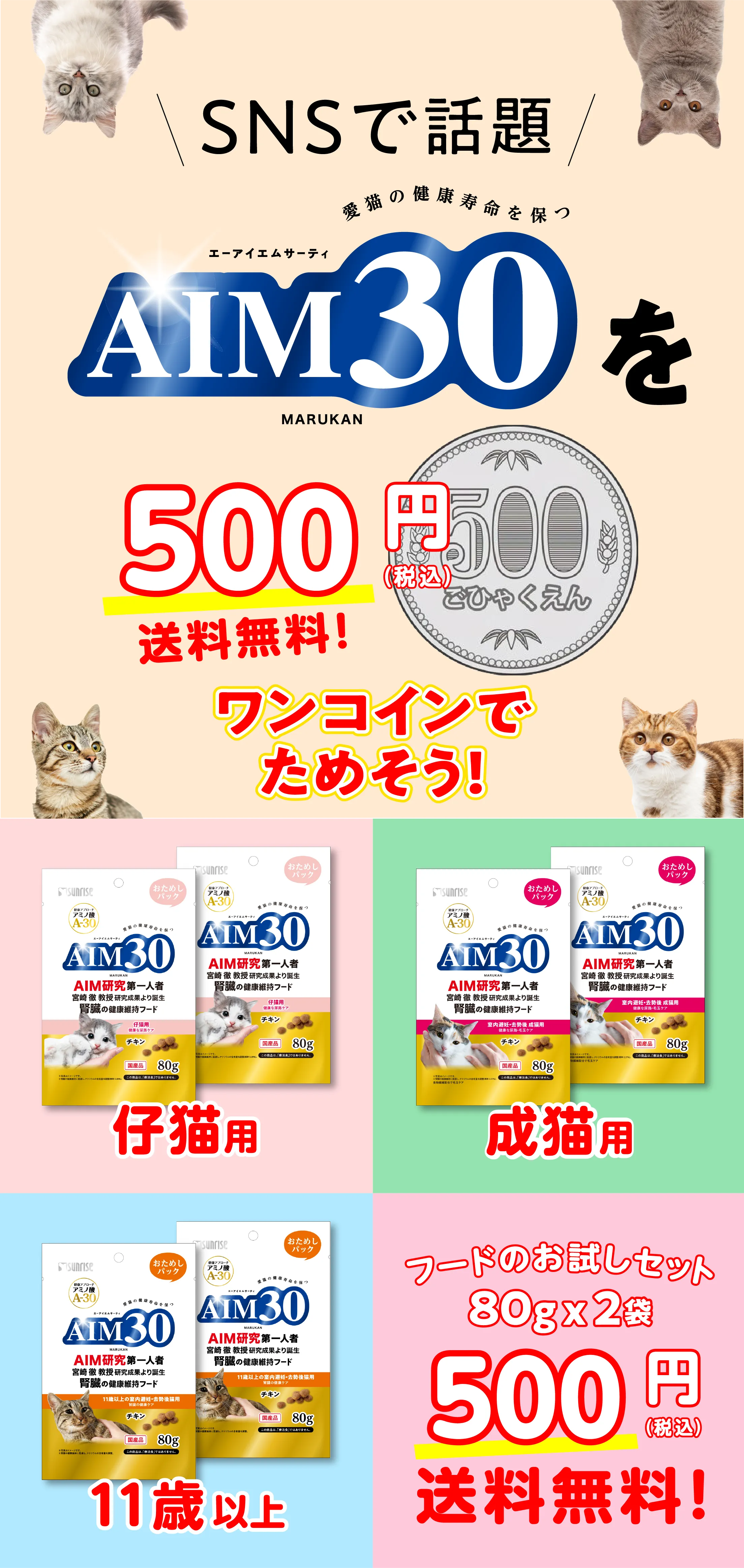 愛猫との時間をもっと