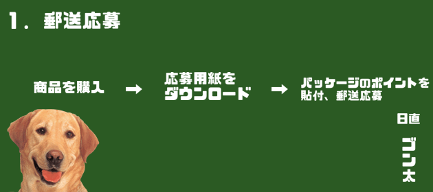 ゴンレージとは？