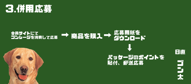 ゴンレージとは？