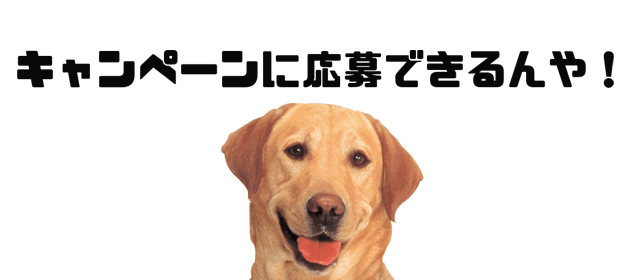 ゴンレージとは？