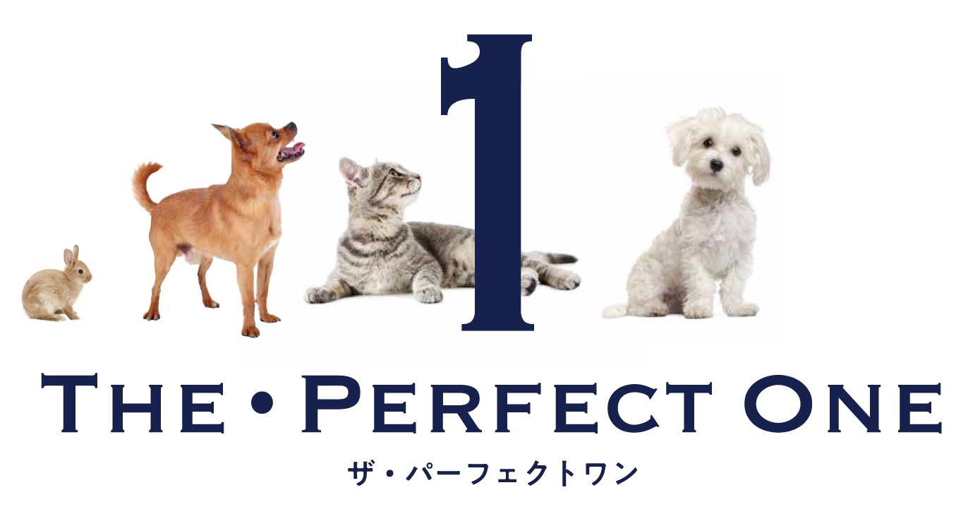 The・Perfect One 株式会社マルカン